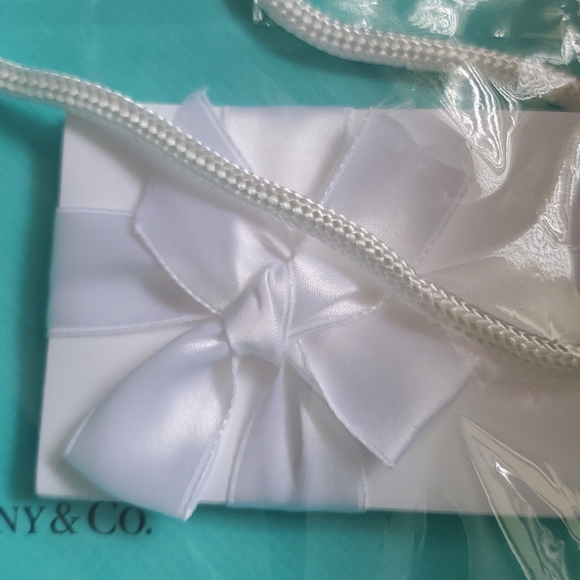 Tiffany new host pick  new sunglasses comes with all xo bagged etc all 2025 firm - Picture 12 of 17